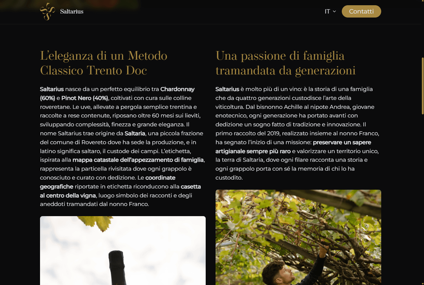Azienda Agricola Scrinzi "Saltarius" desktop screenshot